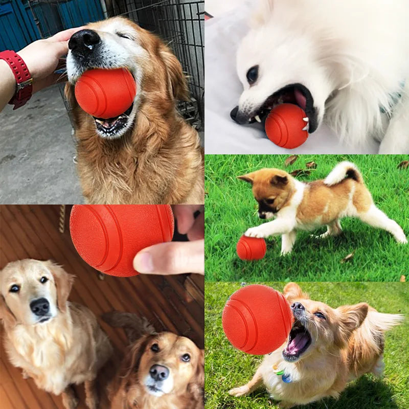 Fetch Toys - Rubber Ball