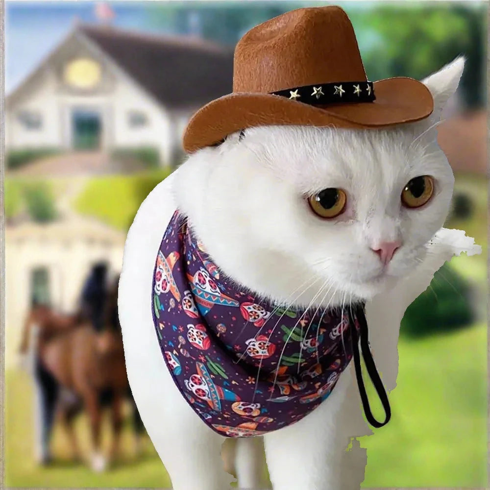 yee haw cat in front of horses stable cowboy hat