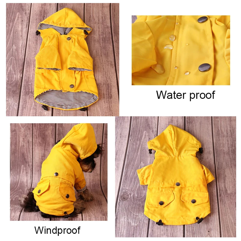 Jackets - Waterproof Raincoat