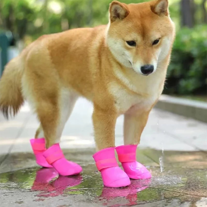 Shoes - Waterproof Rainboots