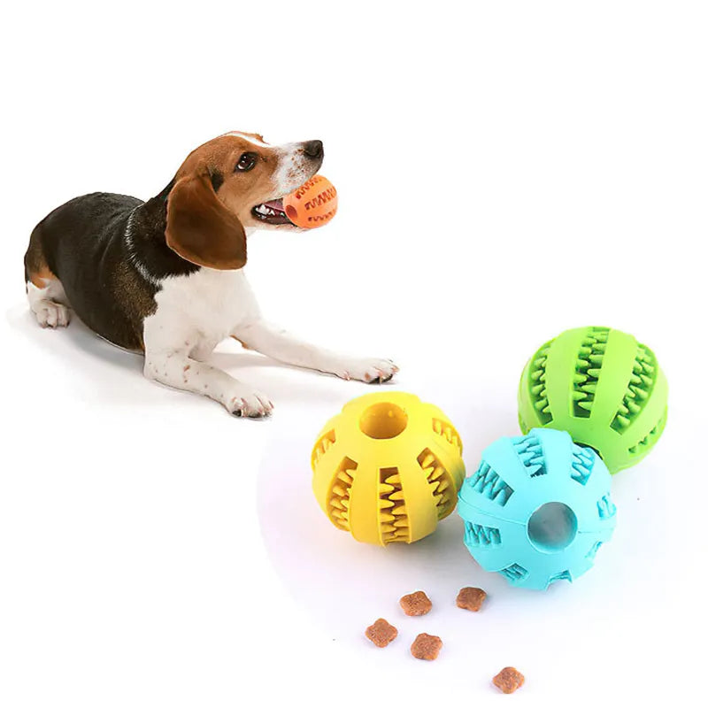 Enrichment Toys - Rubber Ball