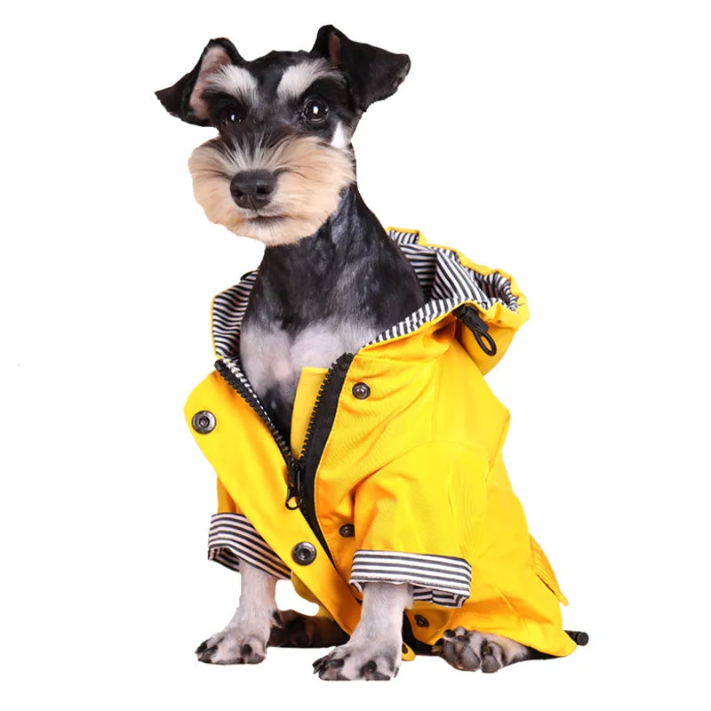 Jackets - Waterproof Raincoat