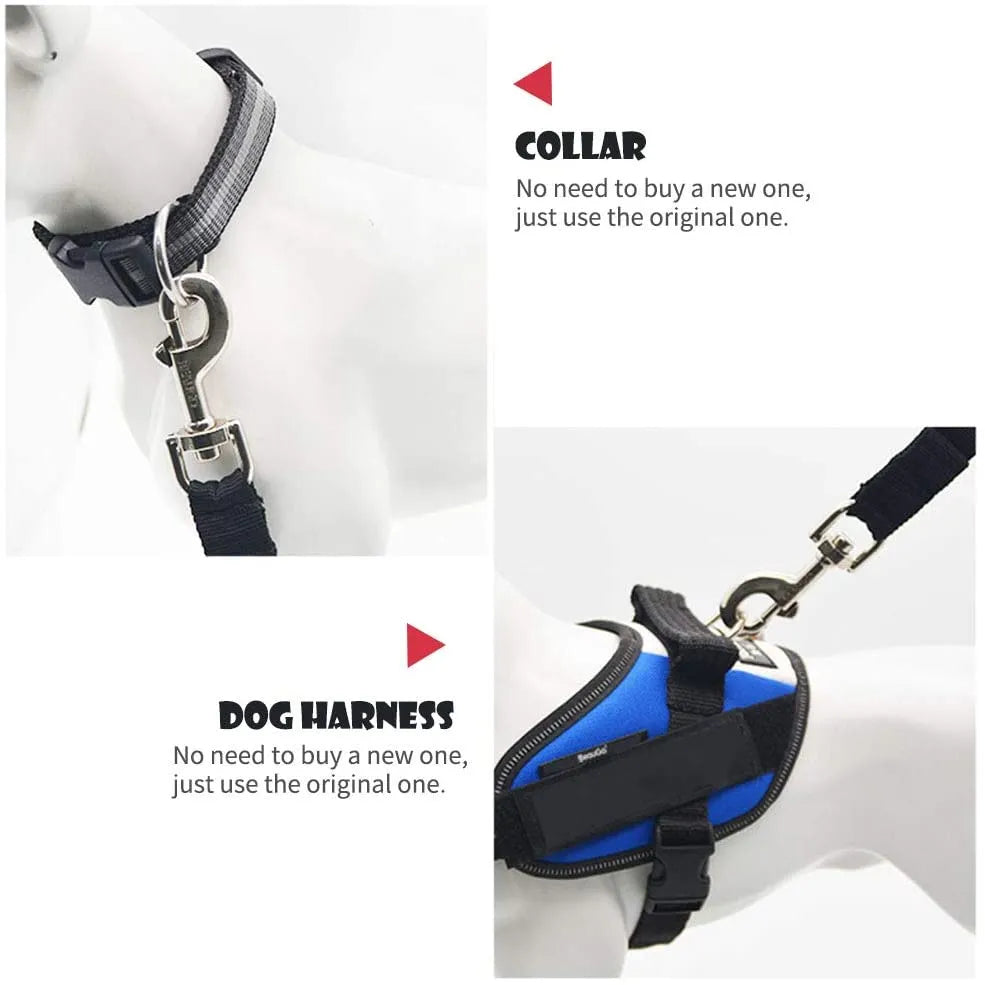 Leashes - Seat Belt