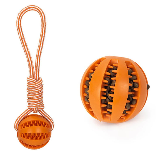 Enrichment Toys - Ball with Rope