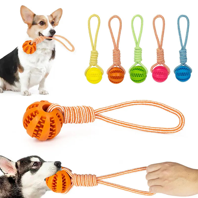 Enrichment Toys - Ball with Rope