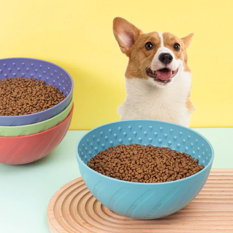 Slow Feeding Bowls - Enrichment Bowls