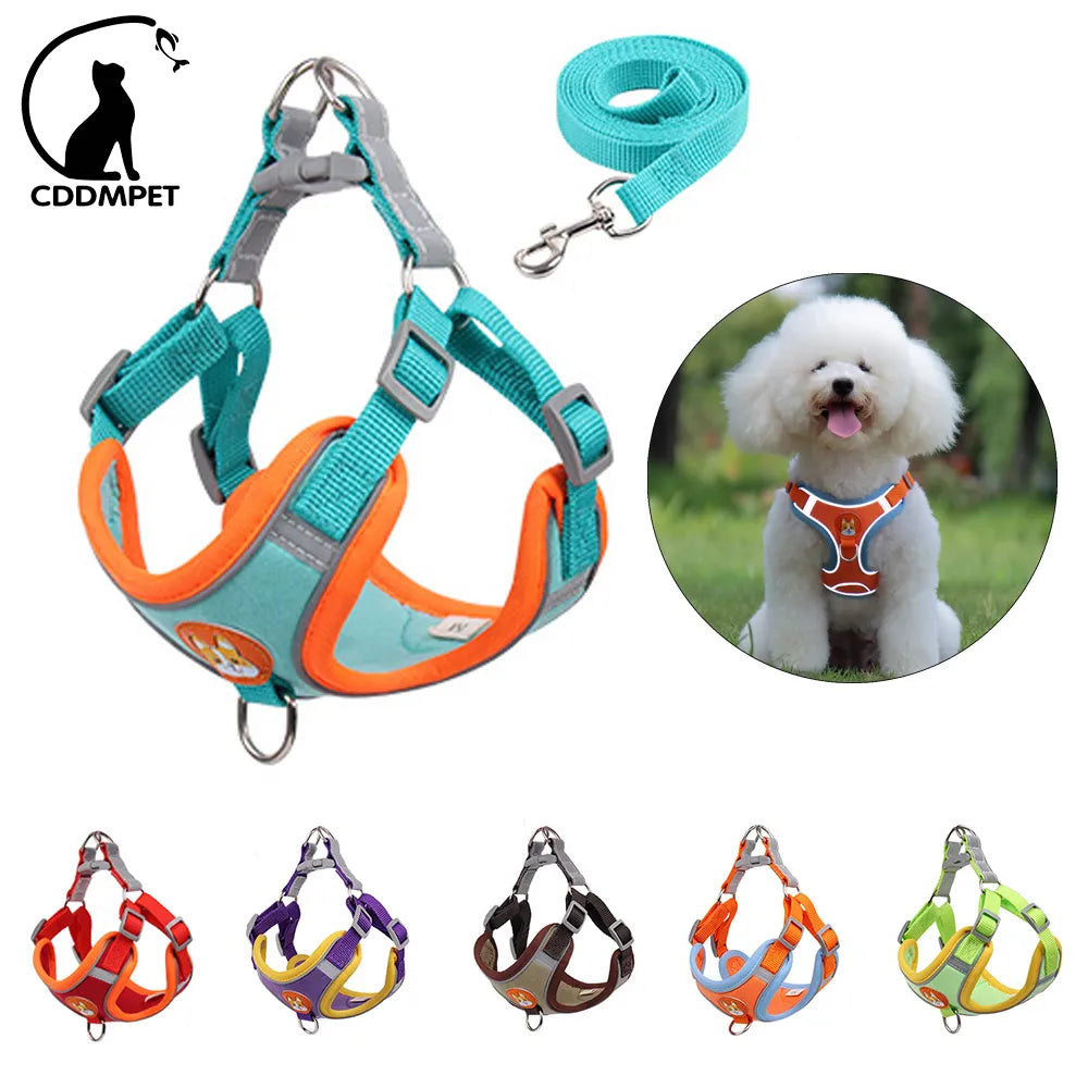 No Pull Small Dog Adjustable Harness + Leash