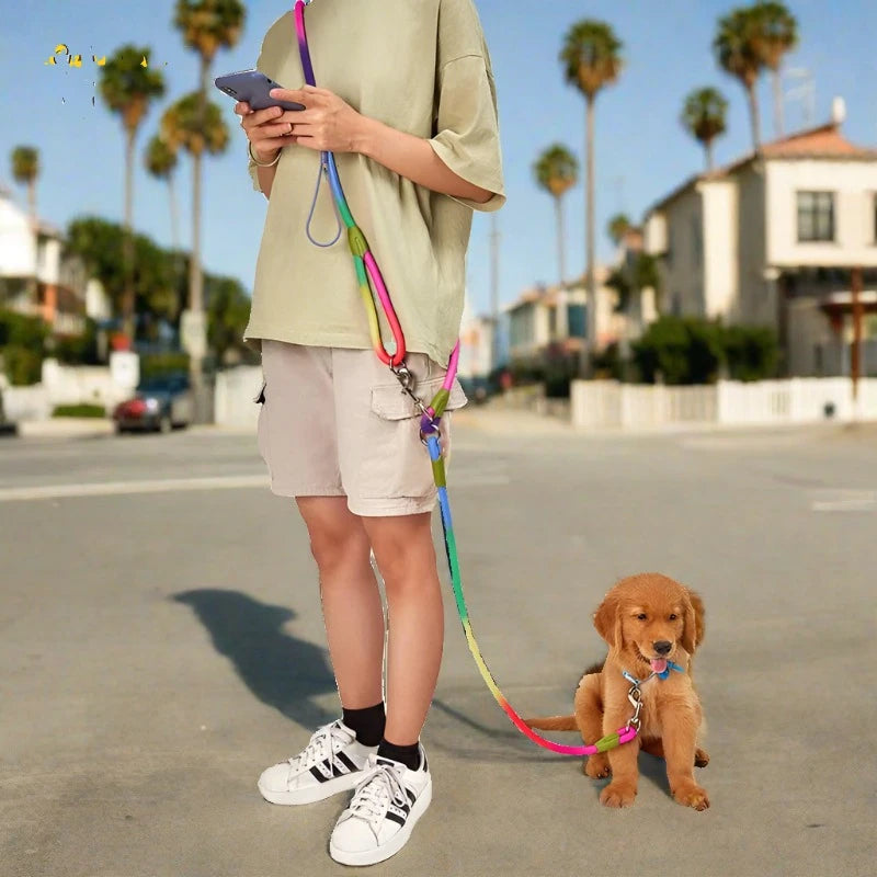 walking your dog on a running leash in a surf town outside sunny