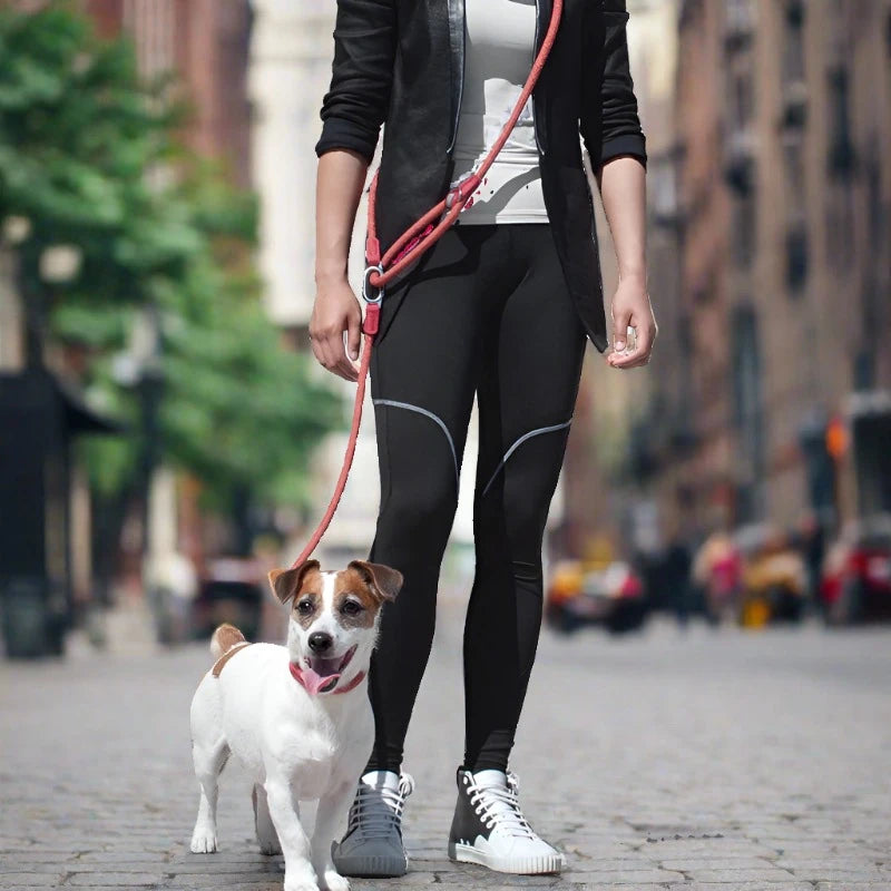 Reflective Nylon Rope Dog Leash for Hands Free Running