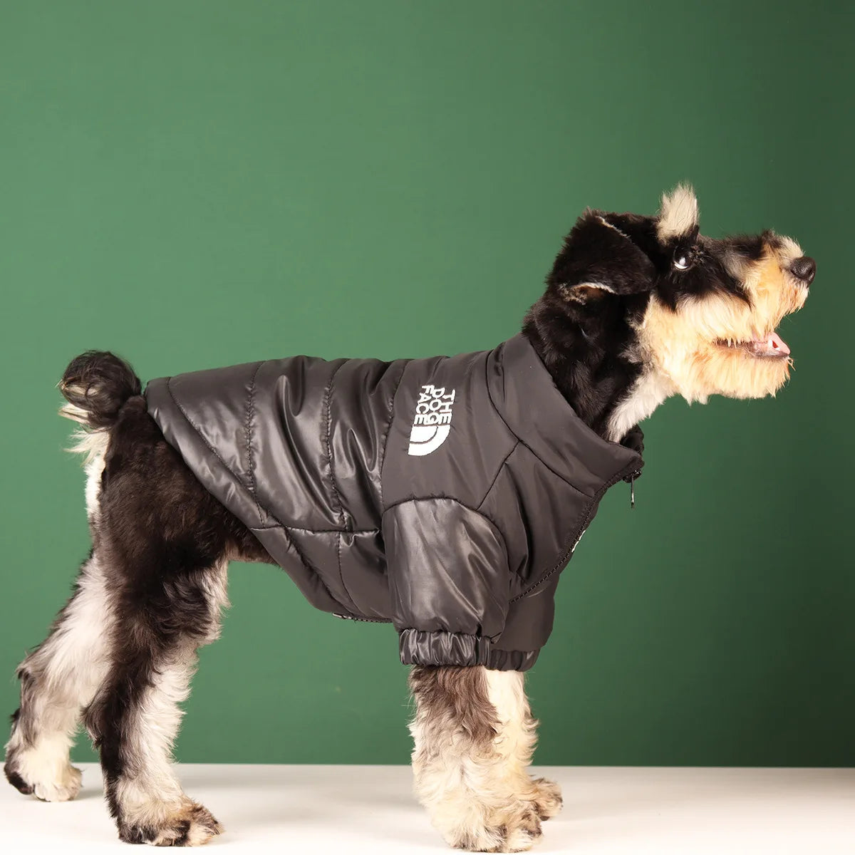 Jackets - Winter Puffer "The DogFace"