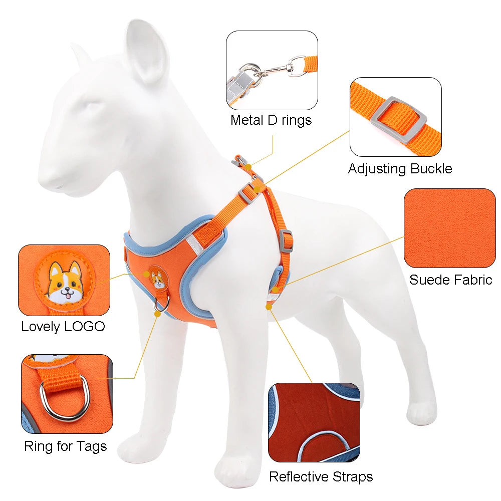 No Pull Small Dog Adjustable Harness + Leash