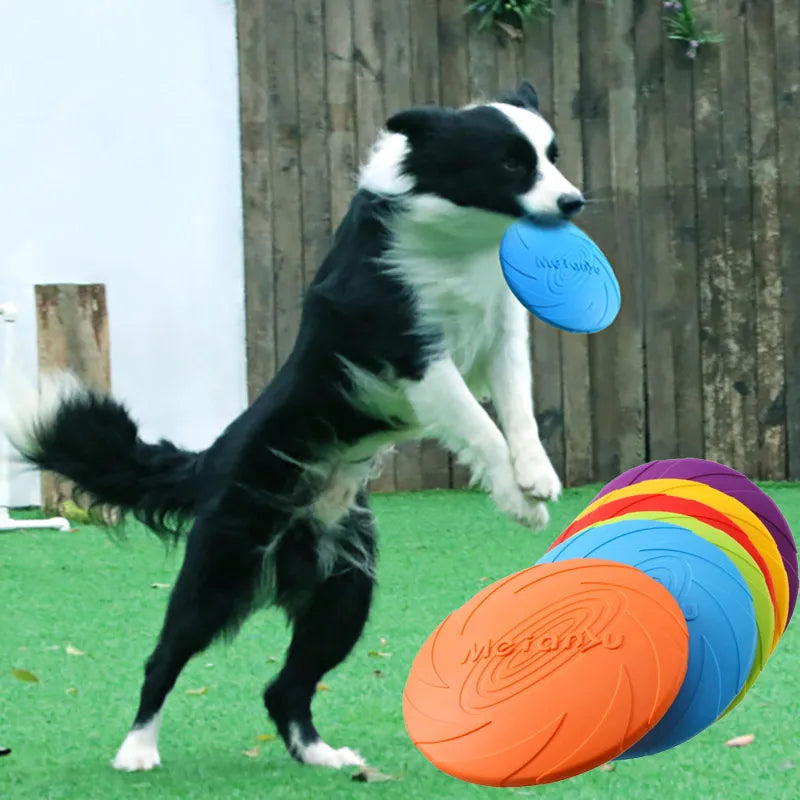 Fetch Toys - Flying Disks