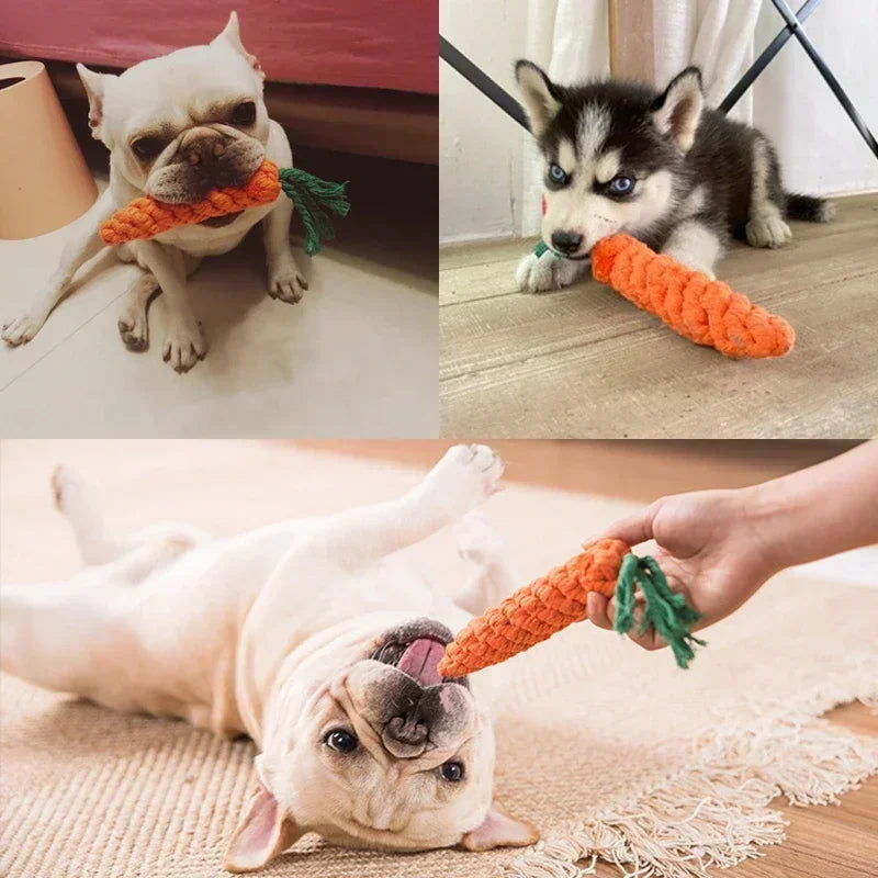 Rope Toys - Carrots