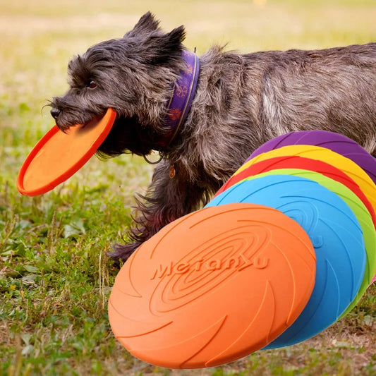 Fetch Toys - Flying Disks