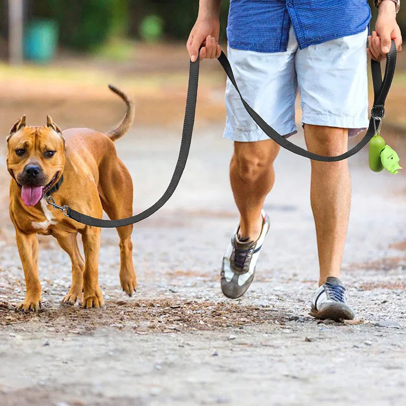 Leashes - Reflective