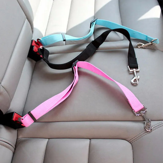 Leashes - Seat Belt