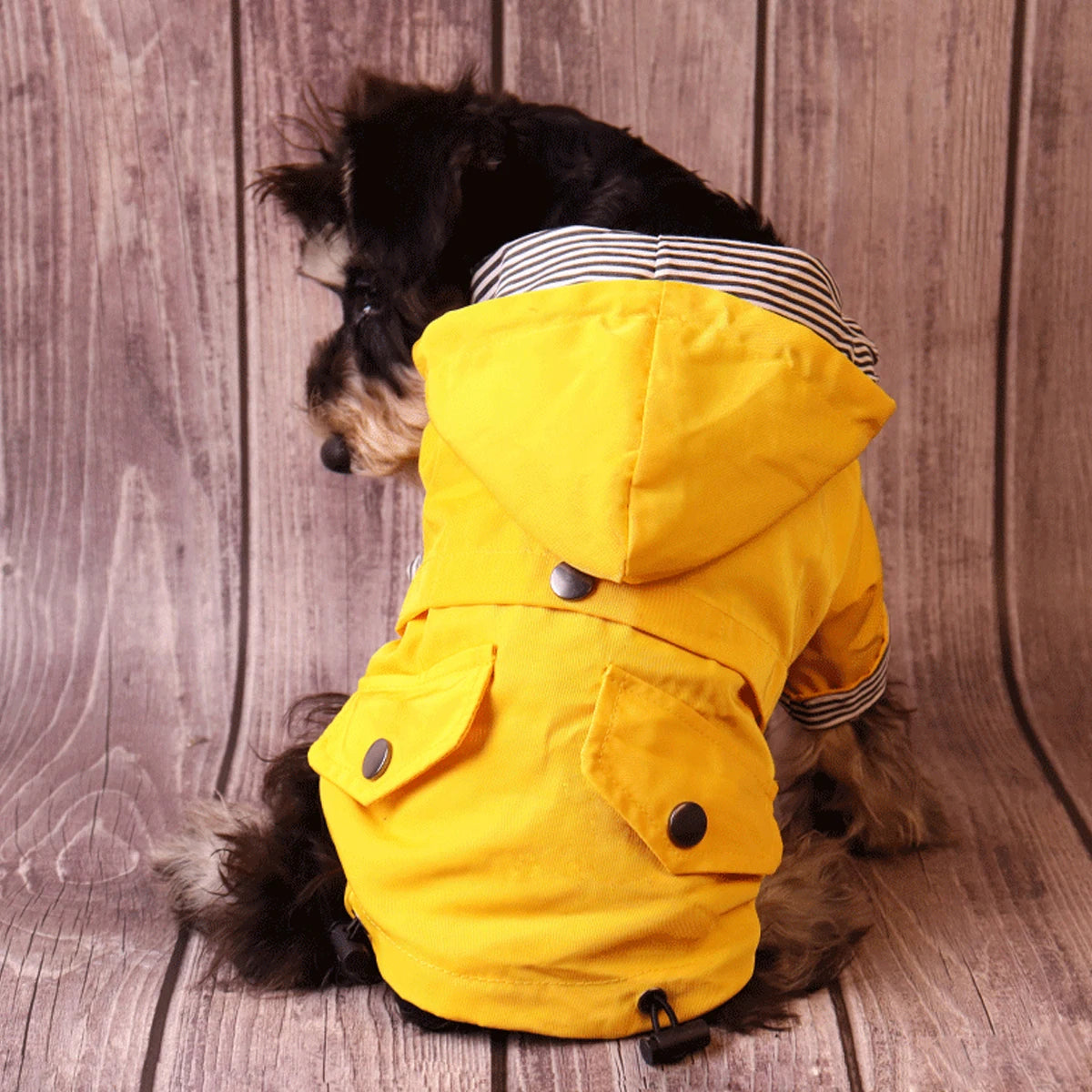 Jackets - Waterproof Raincoat