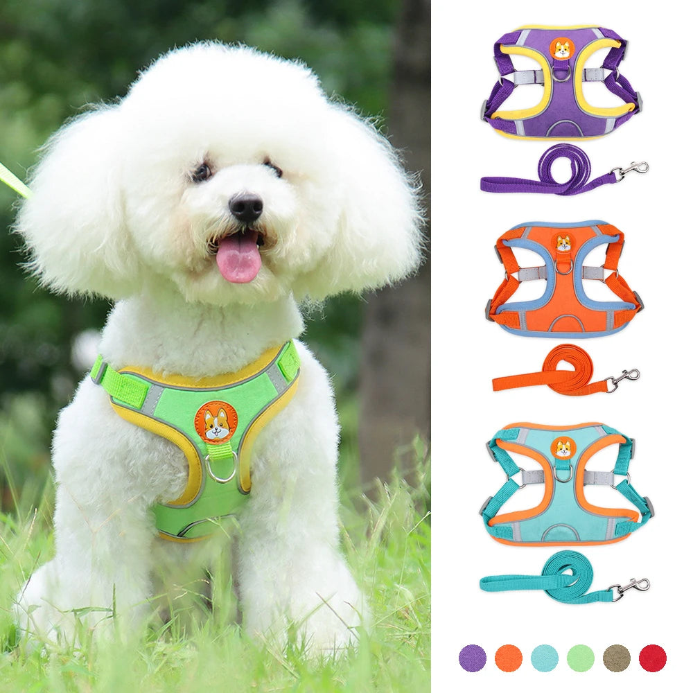 No Pull Small Dog Adjustable Harness + Leash