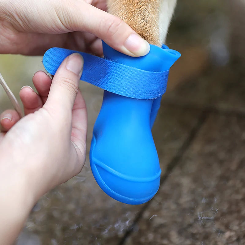 Shoes - Waterproof Rainboots