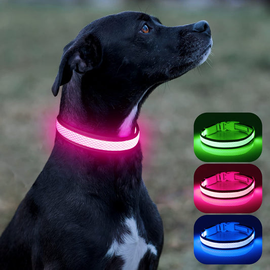 Collars - LED Rechargeable