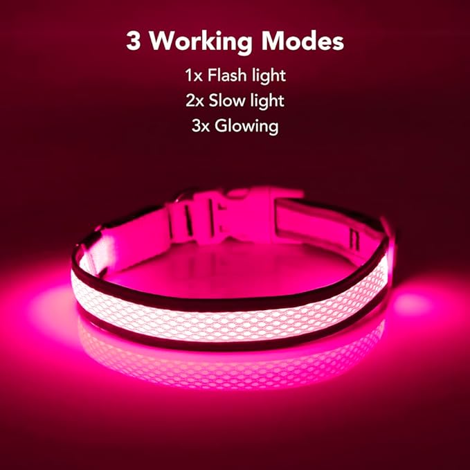 Collars - LED Rechargeable